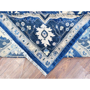 9'x11'7" Bluebonnet Blue, Fine Peshawar With Heriz All Over Design, Densely Woven, Hand Knotted, Vegetable Dyes, 100% Wool Oriental Rug FWR531876