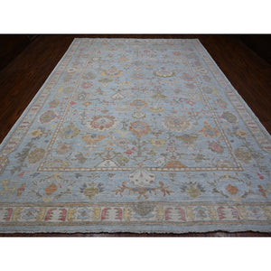 10'x13'5" Stone Blue, Wool Weft, Tribal Flower And Leaf Design, Vegetable Dyes, Afghan Angora Oushak, Hand Knotted, Oriental Rug FWR532134