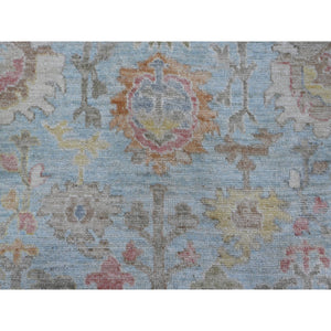 10'x13'5" Stone Blue, Wool Weft, Tribal Flower And Leaf Design, Vegetable Dyes, Afghan Angora Oushak, Hand Knotted, Oriental Rug FWR532134