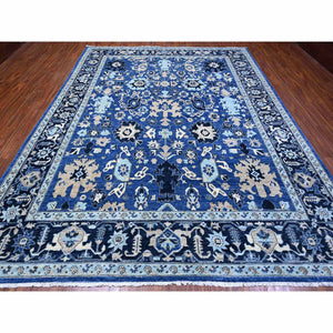 9'3"x11'9" Cerulean With Prussian Blue, Heriz All Over Design, Hand Knotted 100% Wool, Vegetable Dyes, Fine Aryana Oriental Rug FWR533712