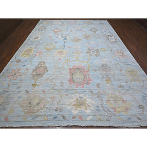 10'x13'6" Ice Blue, Soft Wool Weft, Natural Dyes, Rural All Over Elements Design, Hand Knotted, Afghan Angora Oushak, Oriental Rug FWR534900