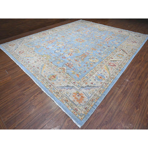 12'1"x14'6" Argentina Blue, Natural Dyes, Hand Knotted Fine Aryana Peshawar, Pure Wool, Heriz All Over Design, XL Oriental Rug FWR536958