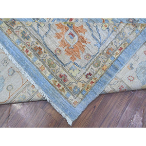 12'1"x14'6" Argentina Blue, Natural Dyes, Hand Knotted Fine Aryana Peshawar, Pure Wool, Heriz All Over Design, XL Oriental Rug FWR536958