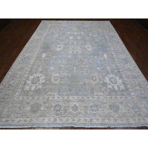 9'x11'10" Medium Gray, Denser Weave, Hand Knotted Soft And Velvety Wool, Heriz All Over Design, Natural Dyes, Oriental Rug FWR538218